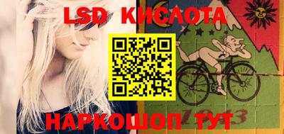 крисы Владимир