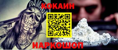 крисы Владимир