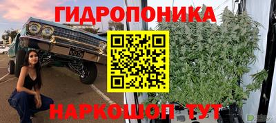 мяу мяу мука Владивосток