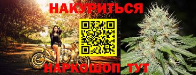 PSILOCYBIN Владикавказ