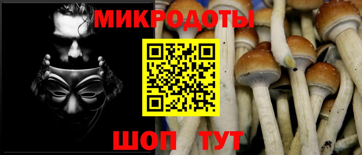хочу   Вход с VPN  Брянск  Псилоцибиновые грибы MAGIC MUSHROOMS  Псилоцибиновые грибы Psilocybine cubensis 